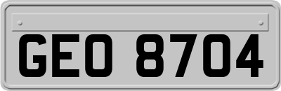 GEO8704