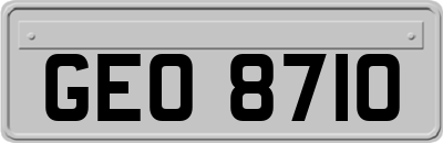 GEO8710
