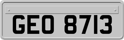 GEO8713
