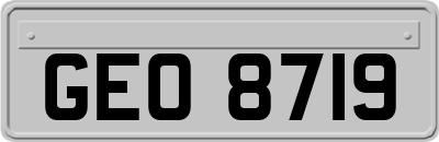 GEO8719
