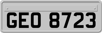 GEO8723
