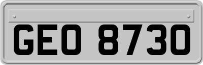 GEO8730