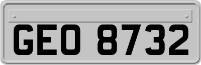 GEO8732