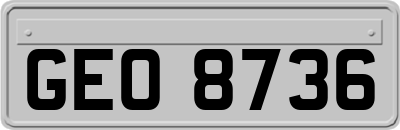 GEO8736