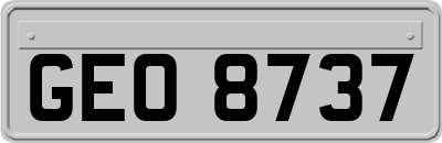 GEO8737