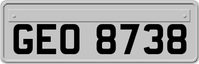 GEO8738