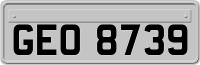 GEO8739