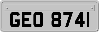 GEO8741