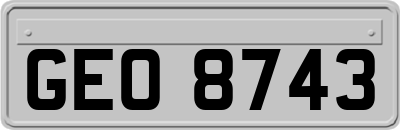 GEO8743