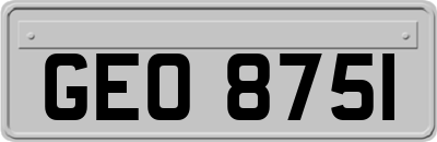 GEO8751