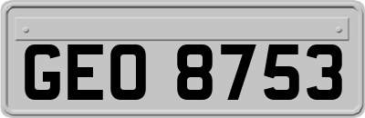 GEO8753