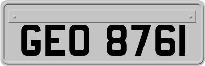 GEO8761