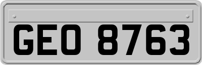 GEO8763