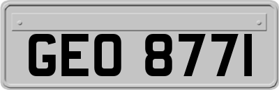 GEO8771