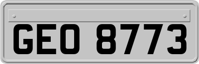 GEO8773