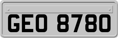 GEO8780