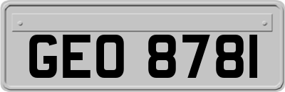 GEO8781