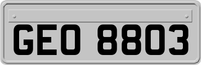 GEO8803