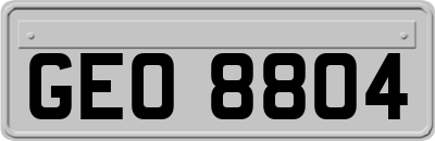 GEO8804