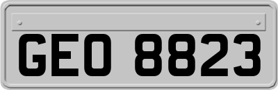GEO8823