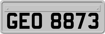 GEO8873