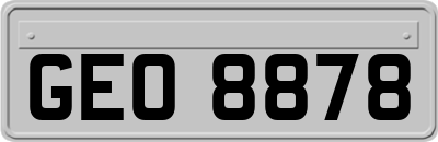 GEO8878