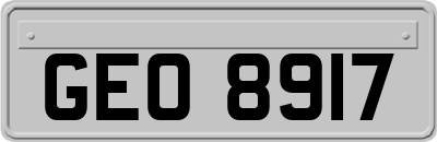 GEO8917