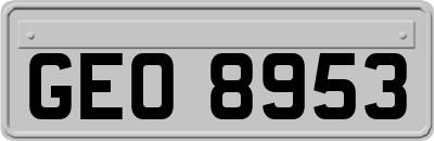 GEO8953