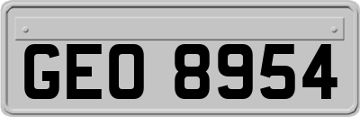 GEO8954
