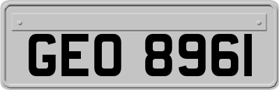 GEO8961