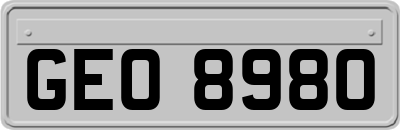 GEO8980