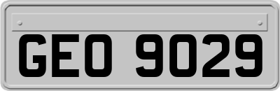 GEO9029