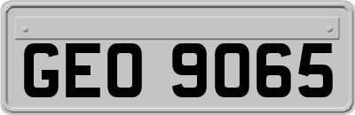 GEO9065