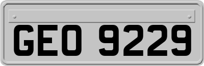 GEO9229