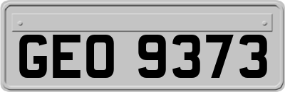GEO9373