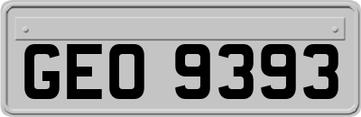 GEO9393