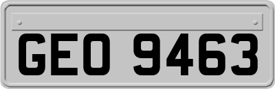 GEO9463