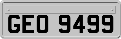 GEO9499
