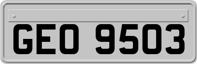 GEO9503