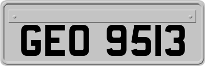 GEO9513