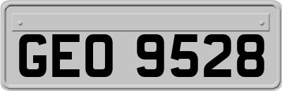 GEO9528