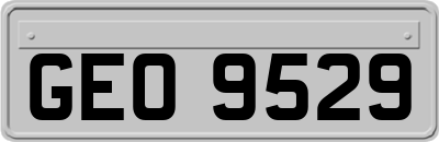 GEO9529