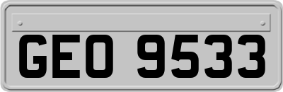 GEO9533