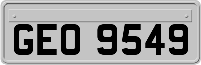 GEO9549