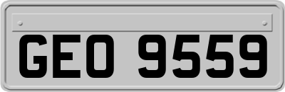 GEO9559