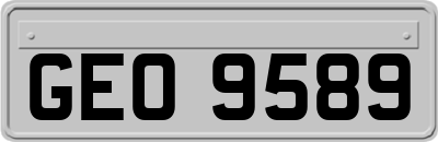 GEO9589