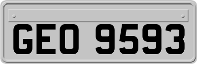 GEO9593