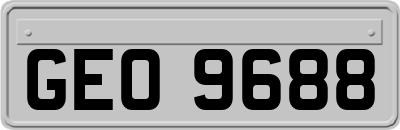 GEO9688