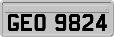 GEO9824