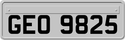 GEO9825